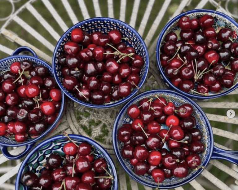 Fünf Schalen mit Kirschen.